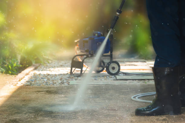 Best Roof Washing  in Morse, LA